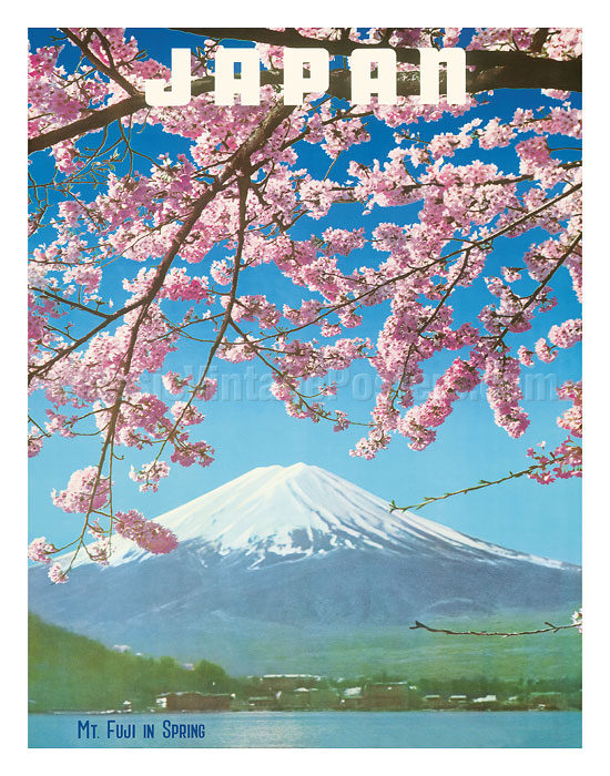 Art Prints Posters Japan Mount Fiji In Spring Cherry Tree