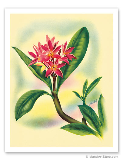 11" x 14" Fine Art Print