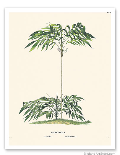 11" x 14" Fine Art Print
