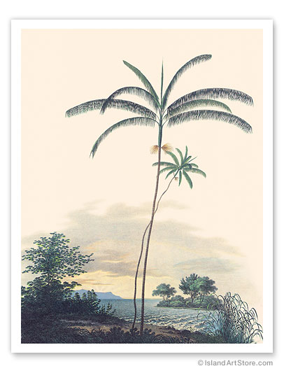 11" x 14" Fine Art Print