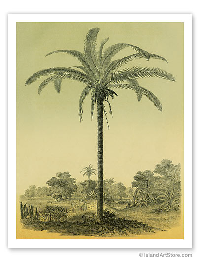 11" x 14" Fine Art Print