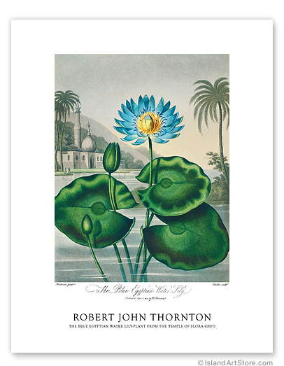 11" x 14" Fine Art Print