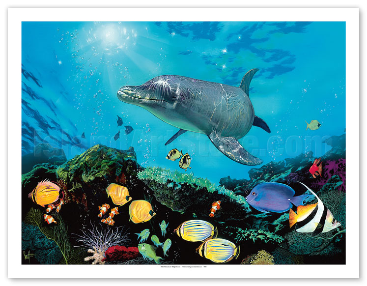 Fine Art Prints & Posters - Shimmer Bay Shallows - Hawaiian Dolphin & Tropical  Fish - Fine Art Prints & Posters - IslandArtStore.com
