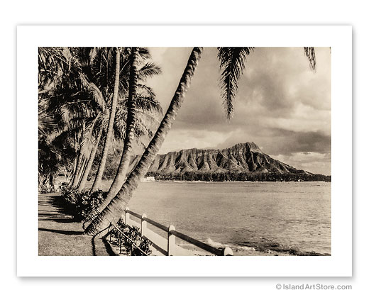 9" x 12" Carbon Print