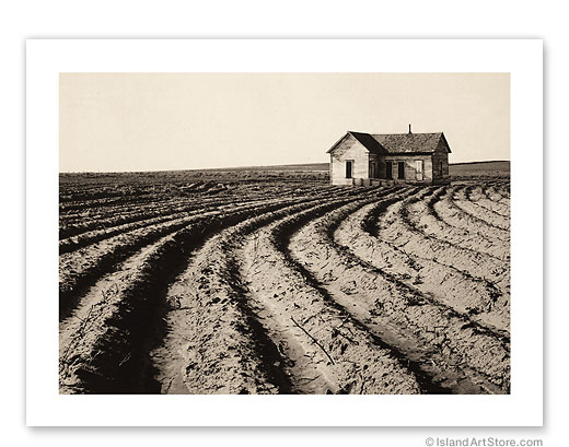 9" x 12" Carbon Print