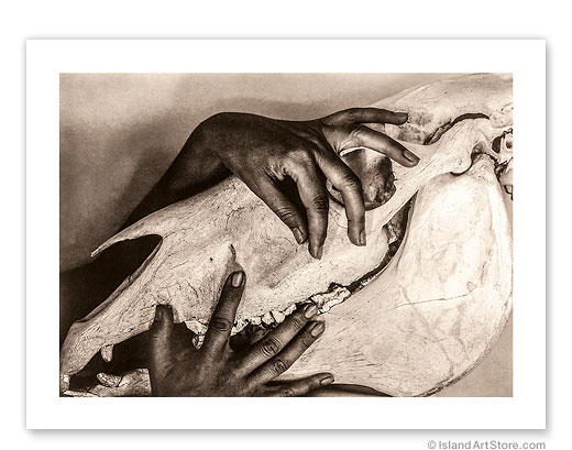 9" x 12" Carbon Print