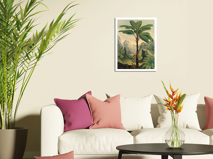 Seychelles Stilt Palm Hawaii 1896 Vintage Botanical Illustration Print 